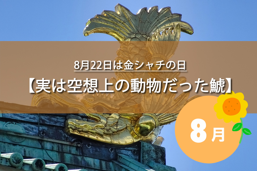 8月22日は金シャチの日！記念日の由来など解説！何の日？