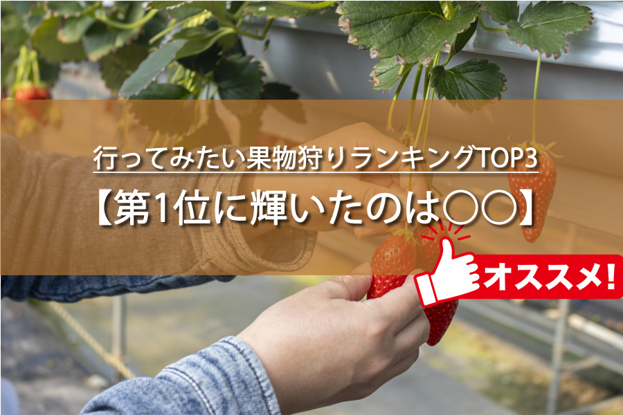 行ってみたい果物狩りランキングTOP3！1位に輝いたのは？
