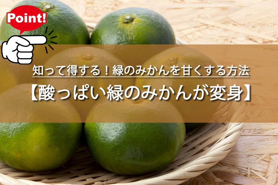 知って得する！緑のみかんを甘く・美味しく変身させるコツとは？