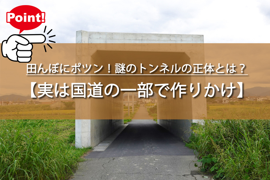 田んぼにポツン！謎のトンネルの正体とは？実は巨大国道バイパス！