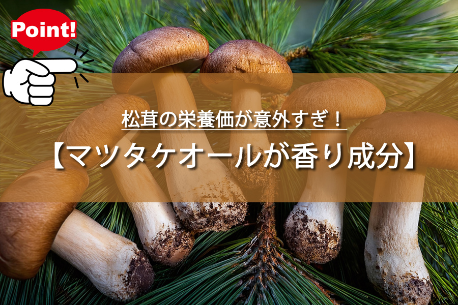 松茸の栄養価が意外すぎ！がん予防効果も？主婦驚きの真実！