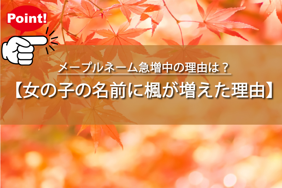 メープルネーム急増中の理由は？43種類の楓の名付けに驚き！
