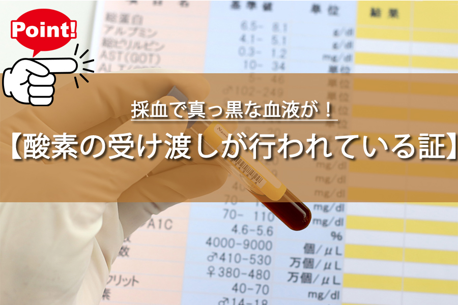 採血で真っ黒な血液が！これって大丈夫？内科医が明かす意外な真実