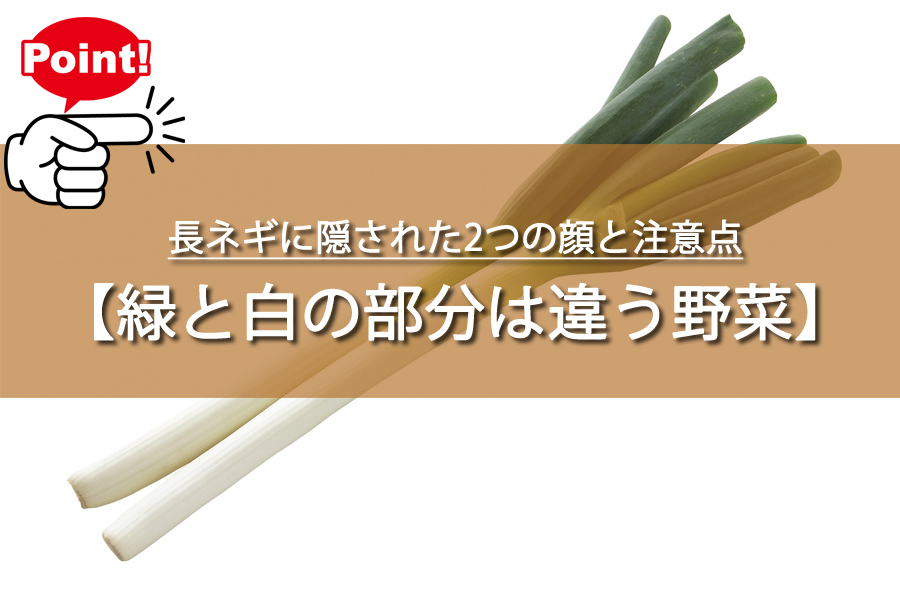 74歳の父が驚いた！長ネギに隠された2つの顔と注意点とは？