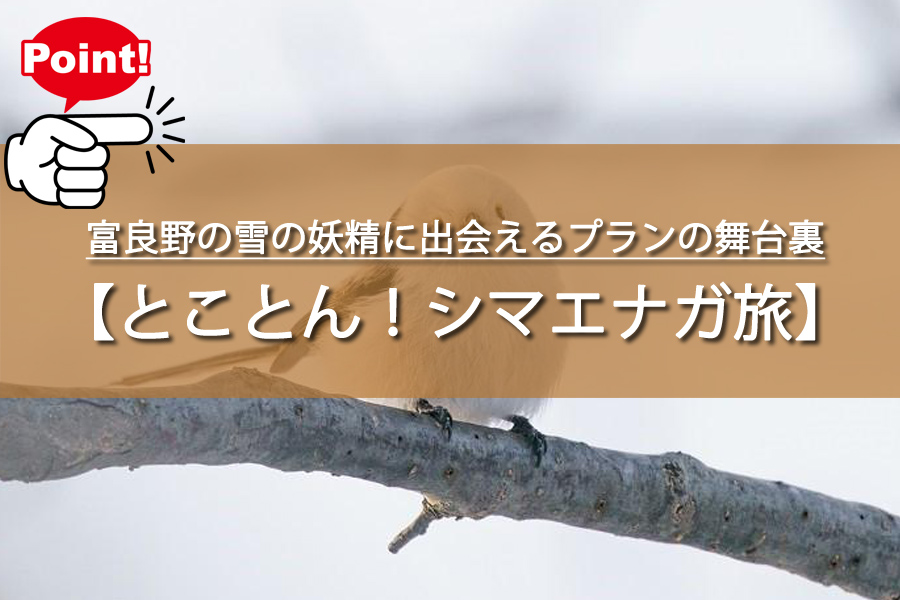 1日6名限定！富良野の雪の妖精に出会えるプランの舞台裏とは
