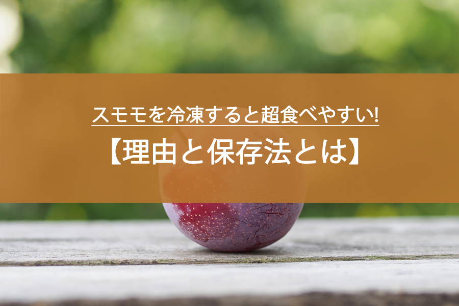 スモモを冷凍すると超食べやすい！その理由と保存法とは？