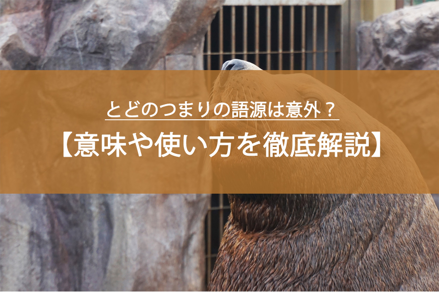 とどのつまりの語源は意外？意味や使い方を徹底解説