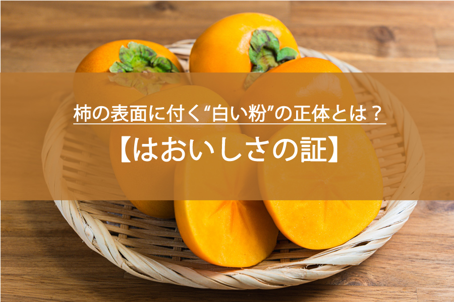 柿の表面に付く“白い粉”の正体とは？実はおいしさの証だった