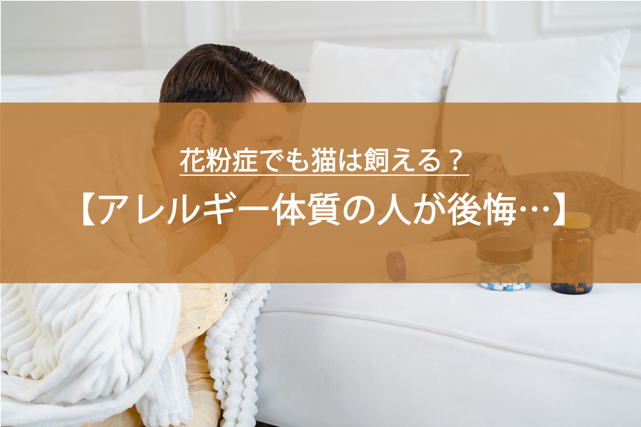 花粉症でも猫は飼える？アレルギー体質の人が後悔しないために！