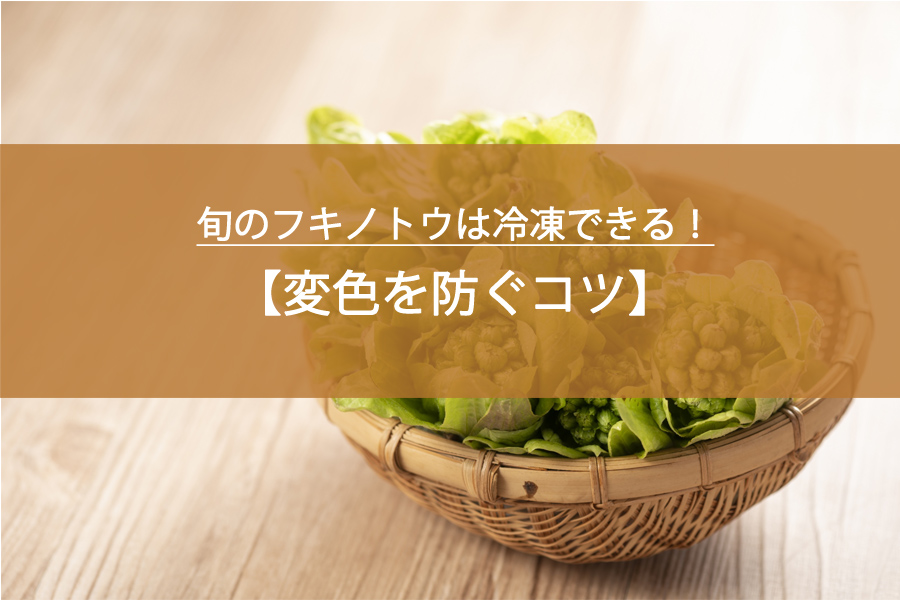 旬のフキノトウは冷凍できる！変色を防ぐコツと簡単レシピまでやさしく解説